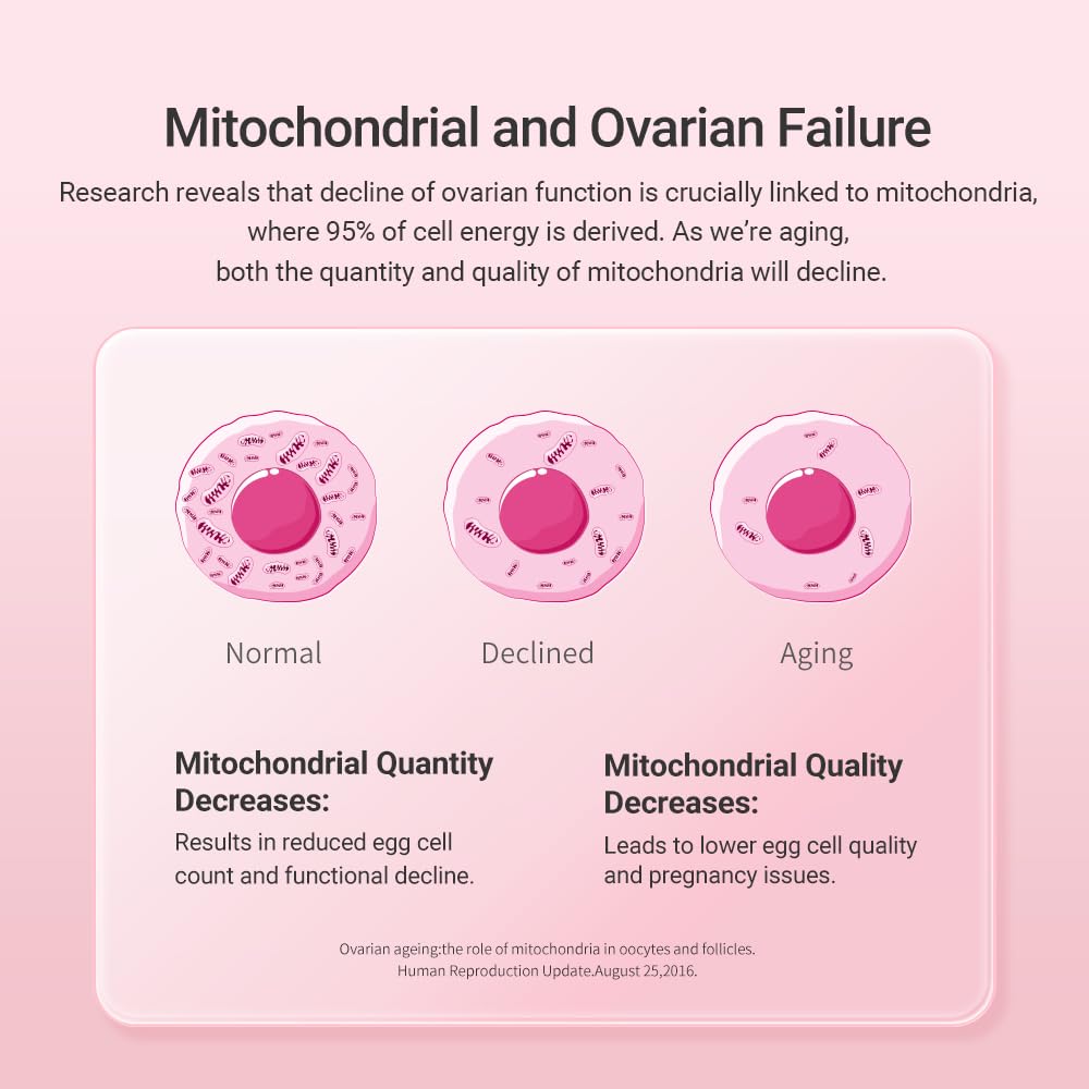 CELFULL flaxseed extract image indicating estrogen balance support