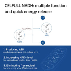 CELFULL NADH bottle label close-up with ingredients