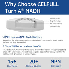 CELFULL NADH dosage guide shows 20 mg tablets per dose