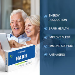 CELFULL NADH four-layer coating graphic illustrating stable absorption