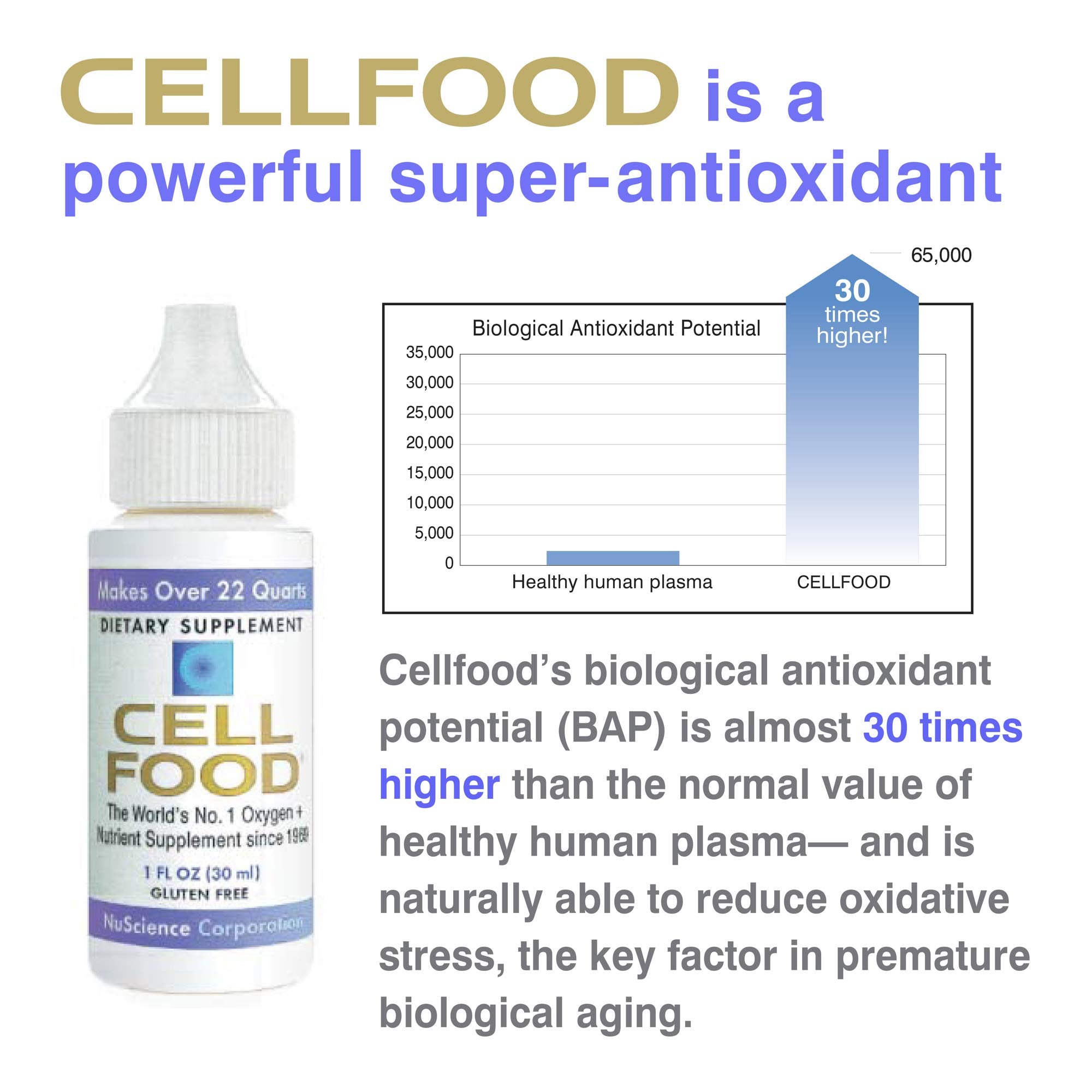 Cellfood Oxygen Boost travel case image showing portability