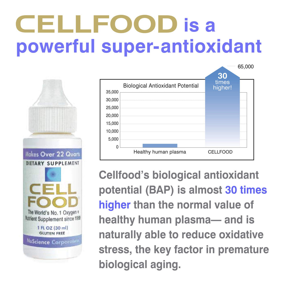Cellfood Oxygen Boost travel case image showing portability