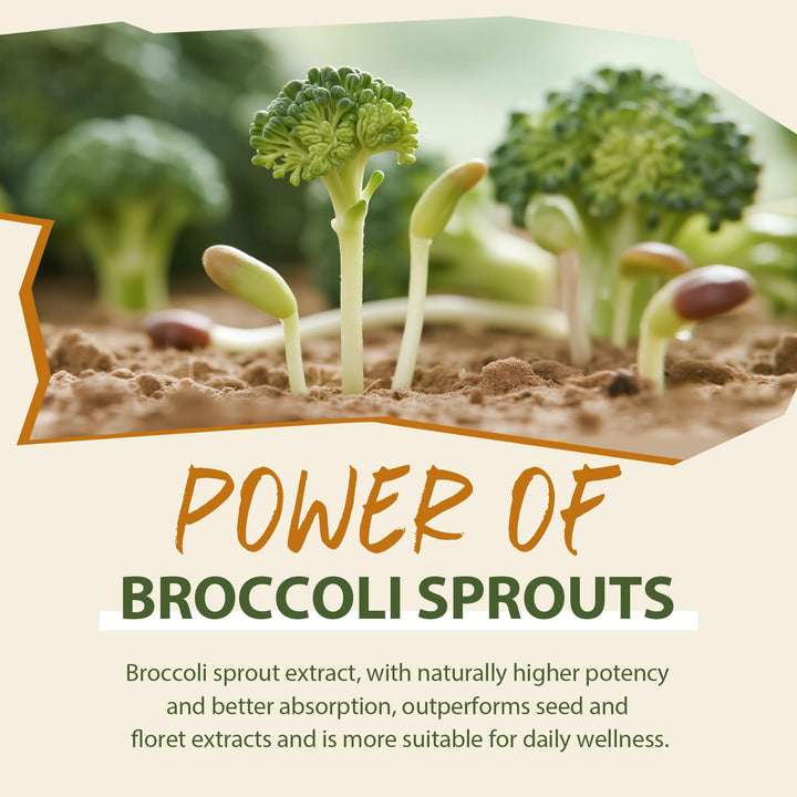 Cenffitio Sulforaphane dish yogurt illustrating versatile mixing in foods