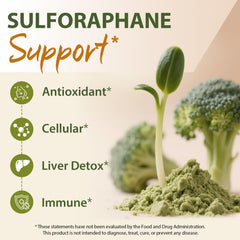 Cenffitio sulforaphane powder scoop showing easy daily dosing
