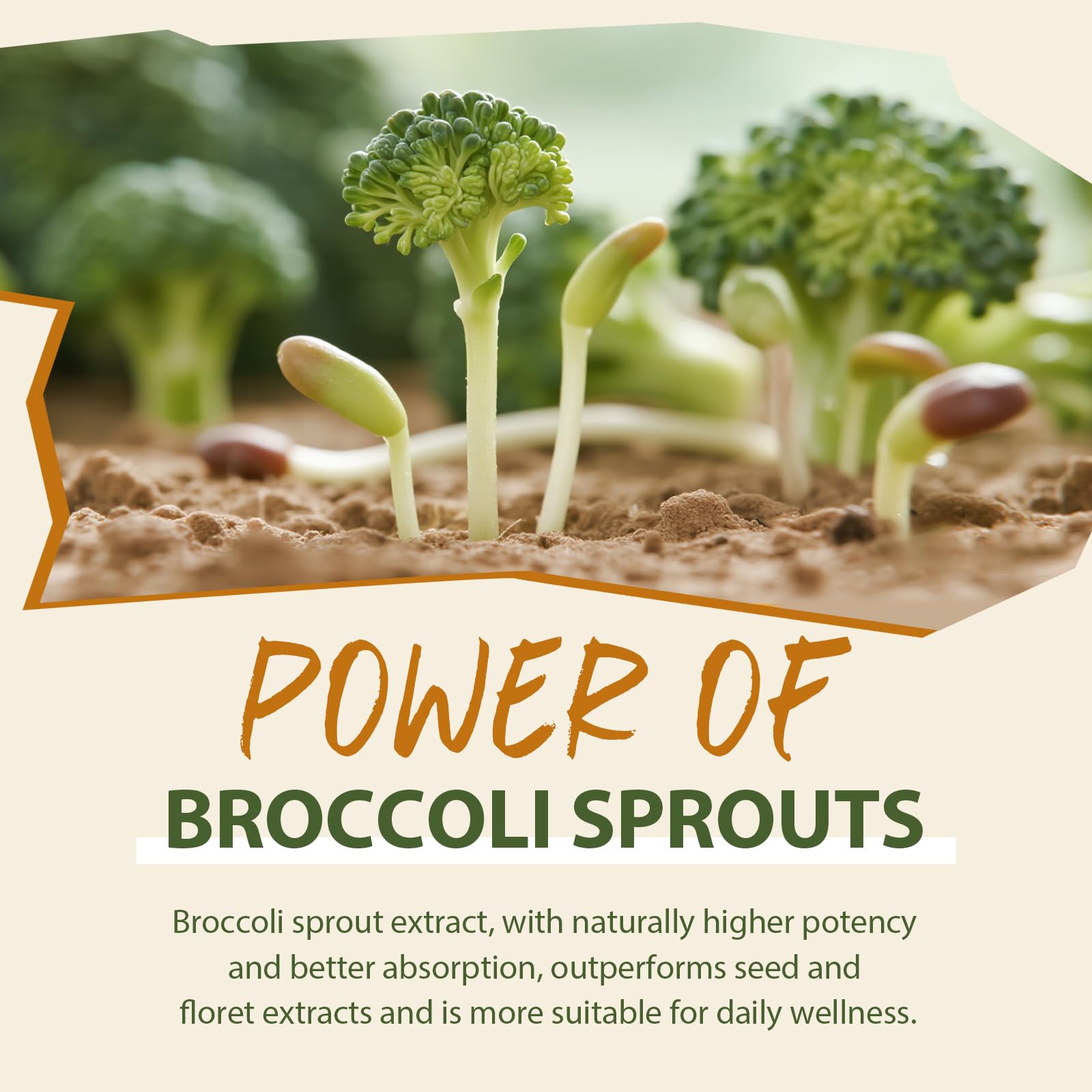 Cenffitio sulforaphane spoon-dispense demonstrates precise dosing