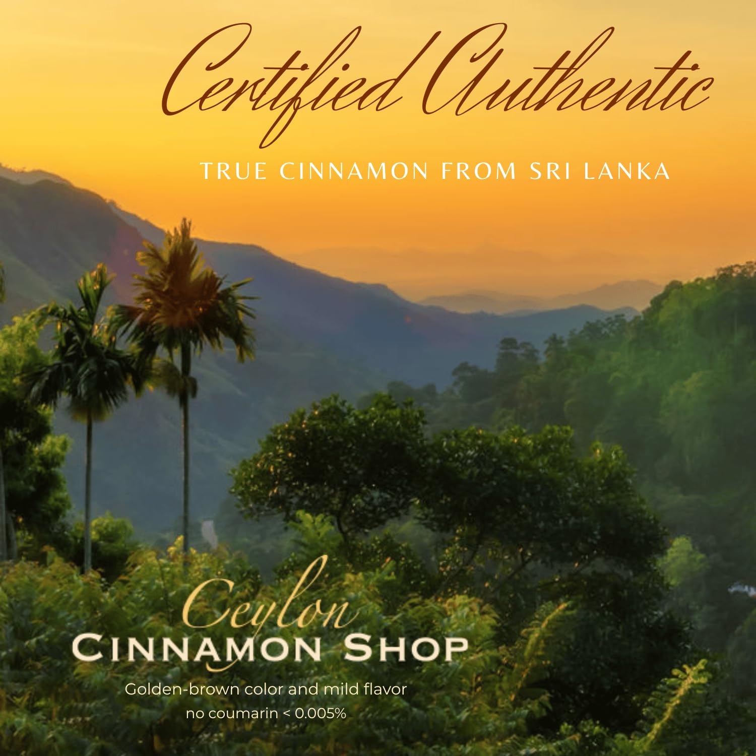 Ceylon Cinnamon Shop CinnaGuard bottle on desk for daily wellness routine.