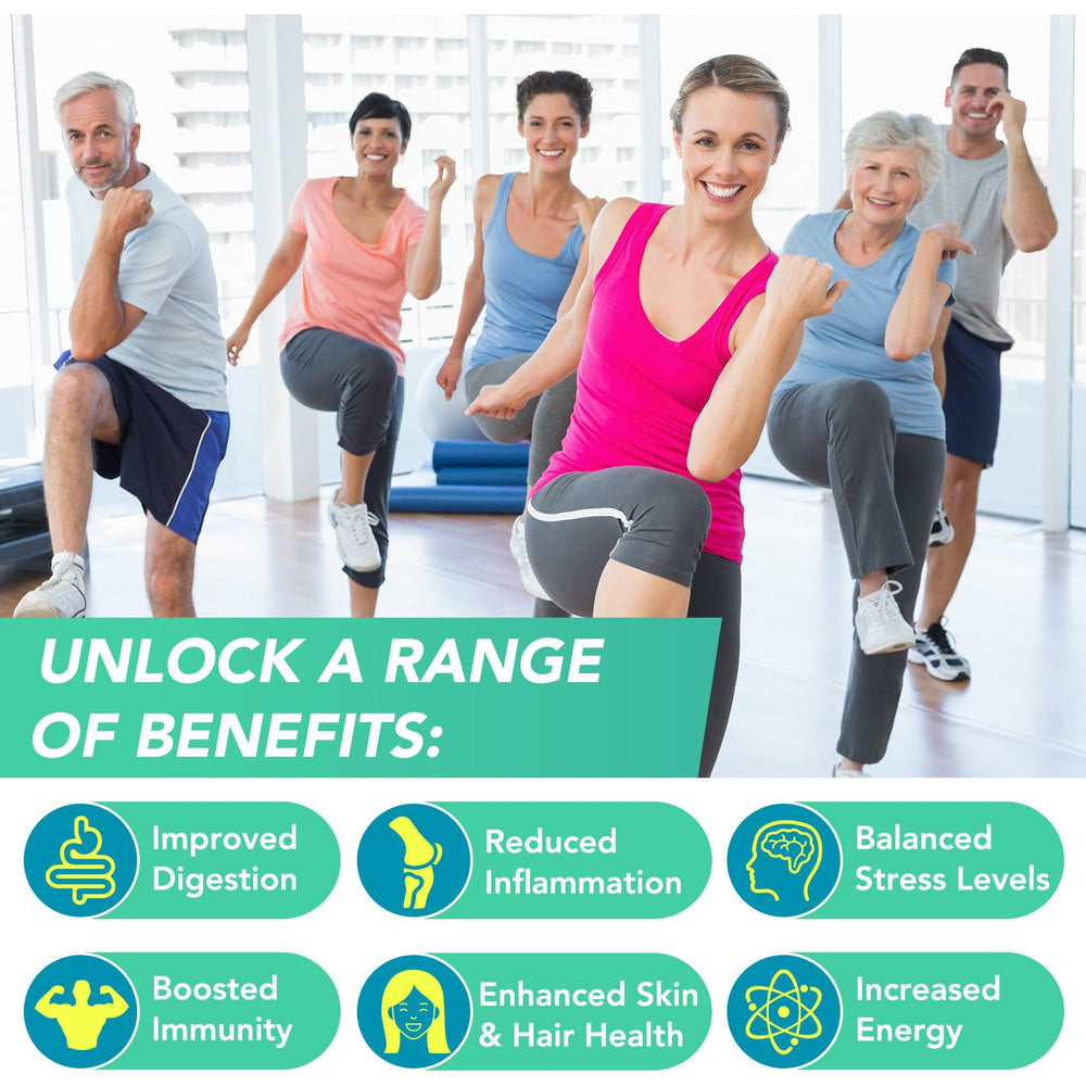 CFXYHNOX ashwagandha-ginger-sea-moss-blend shown in clear capsules for daily support