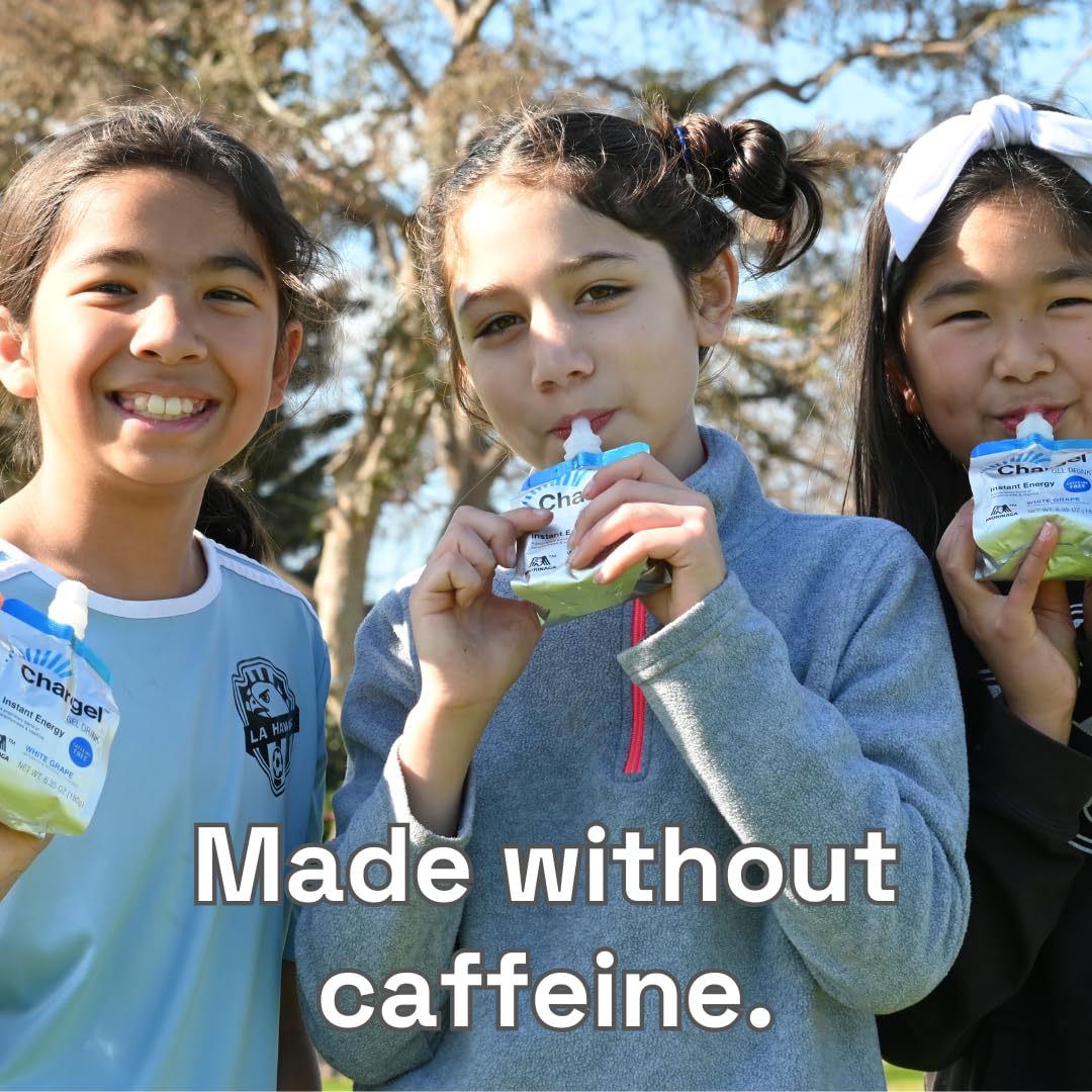 Made in Japan Chargel gel reflects quality for runners and hikers.