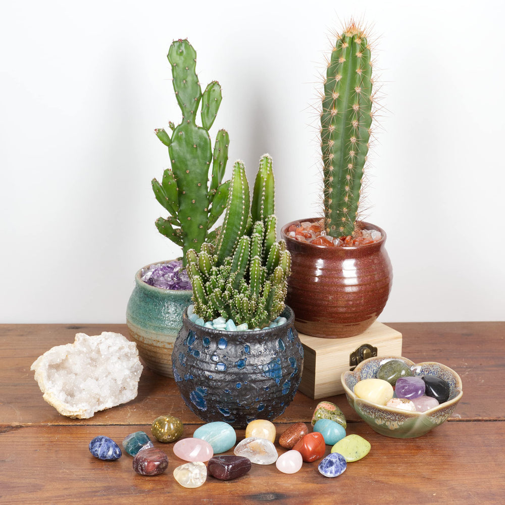 Cherry Tree Collection Rhodonite stones with natural inclusions ideal for chakra work.