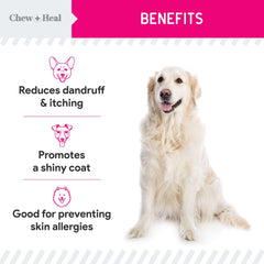Chew + Heal Labs Omega-3 Powder added to dog food for healthier coat