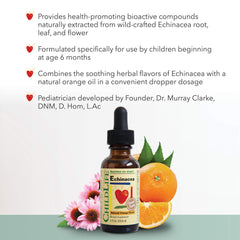 Dropper-era bottle of CHL Essentials echinacea for precise servings.