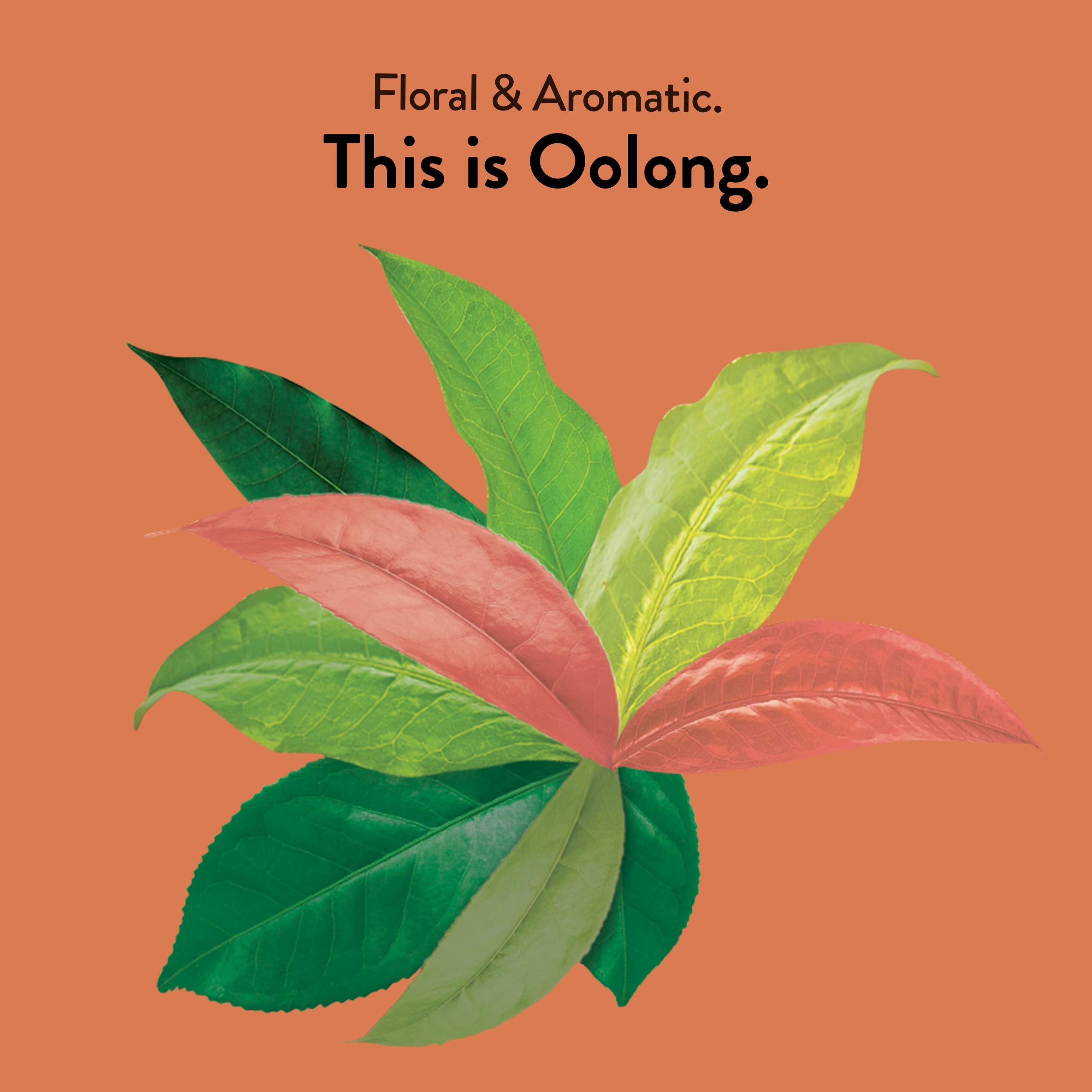 Close-up of Choice Organics oolong leaves revealing rich aroma and a delicate roast.