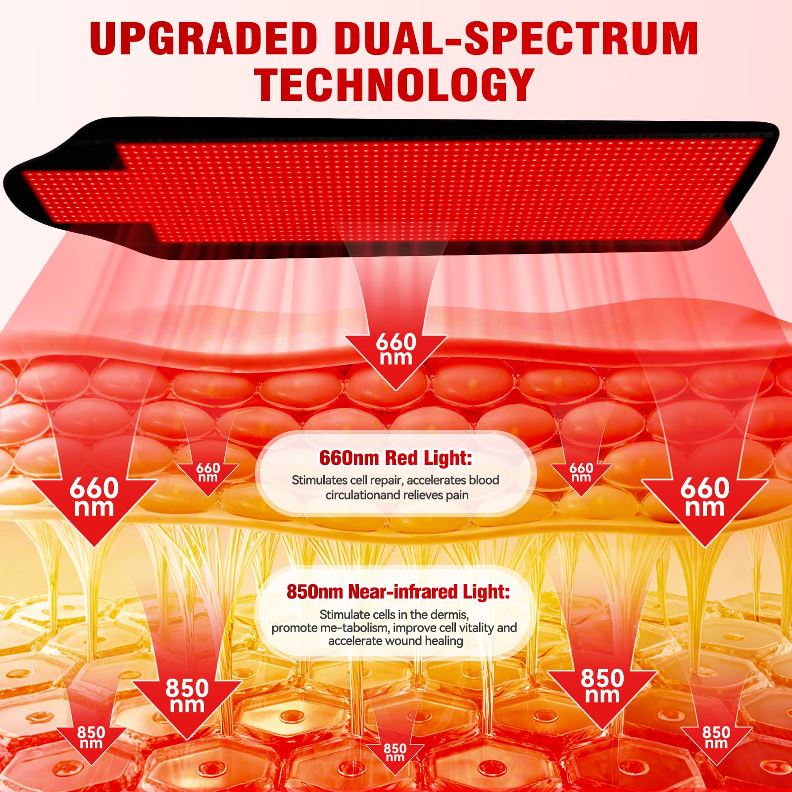 Cholas dual wavelength 660nm and 850nm for versatile light therapy options.