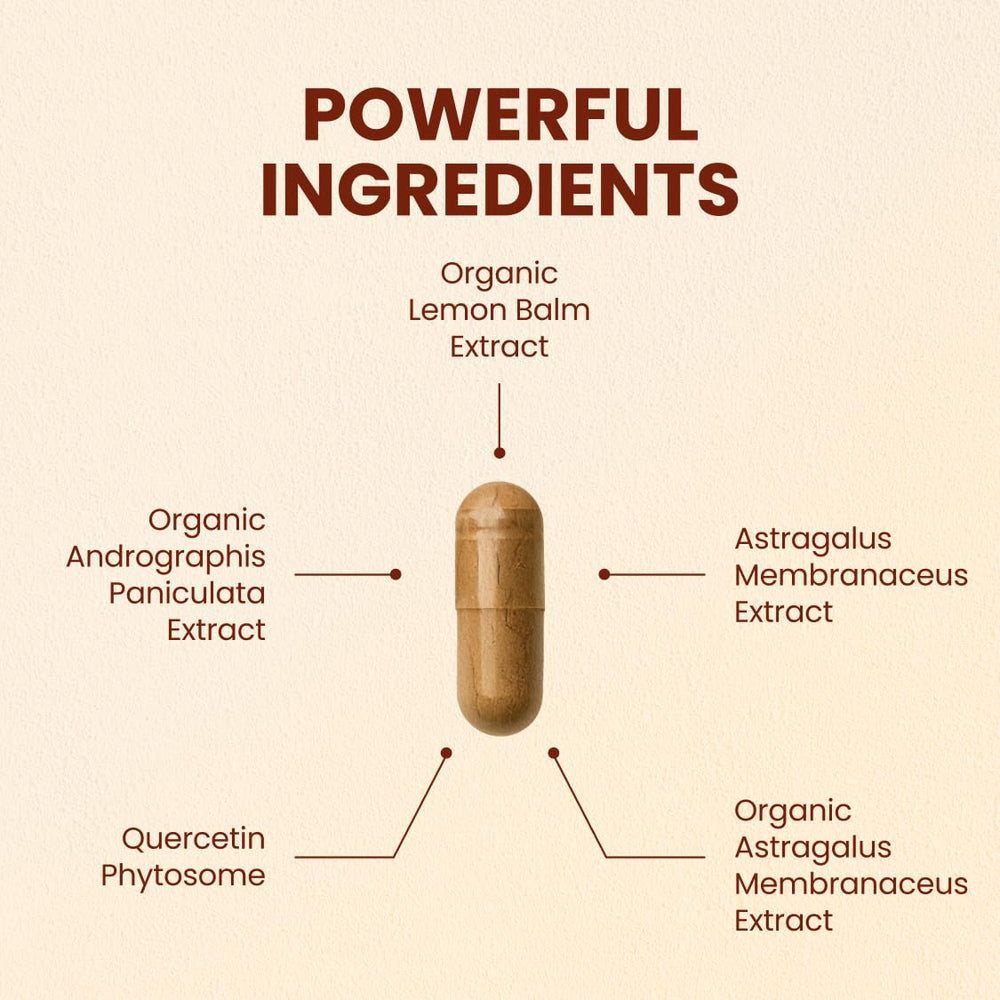 CHOQ Armor andrographis paniculata capsules for seasonal resilience and focus
