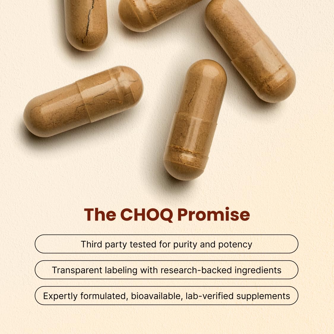 CHOQ Shilajit capsules display convenient daily capsules for sustained energy and focus.