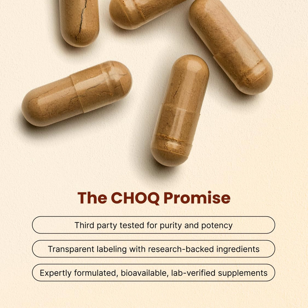 CHOQ Shilajit capsules display convenient daily capsules for sustained energy and focus.