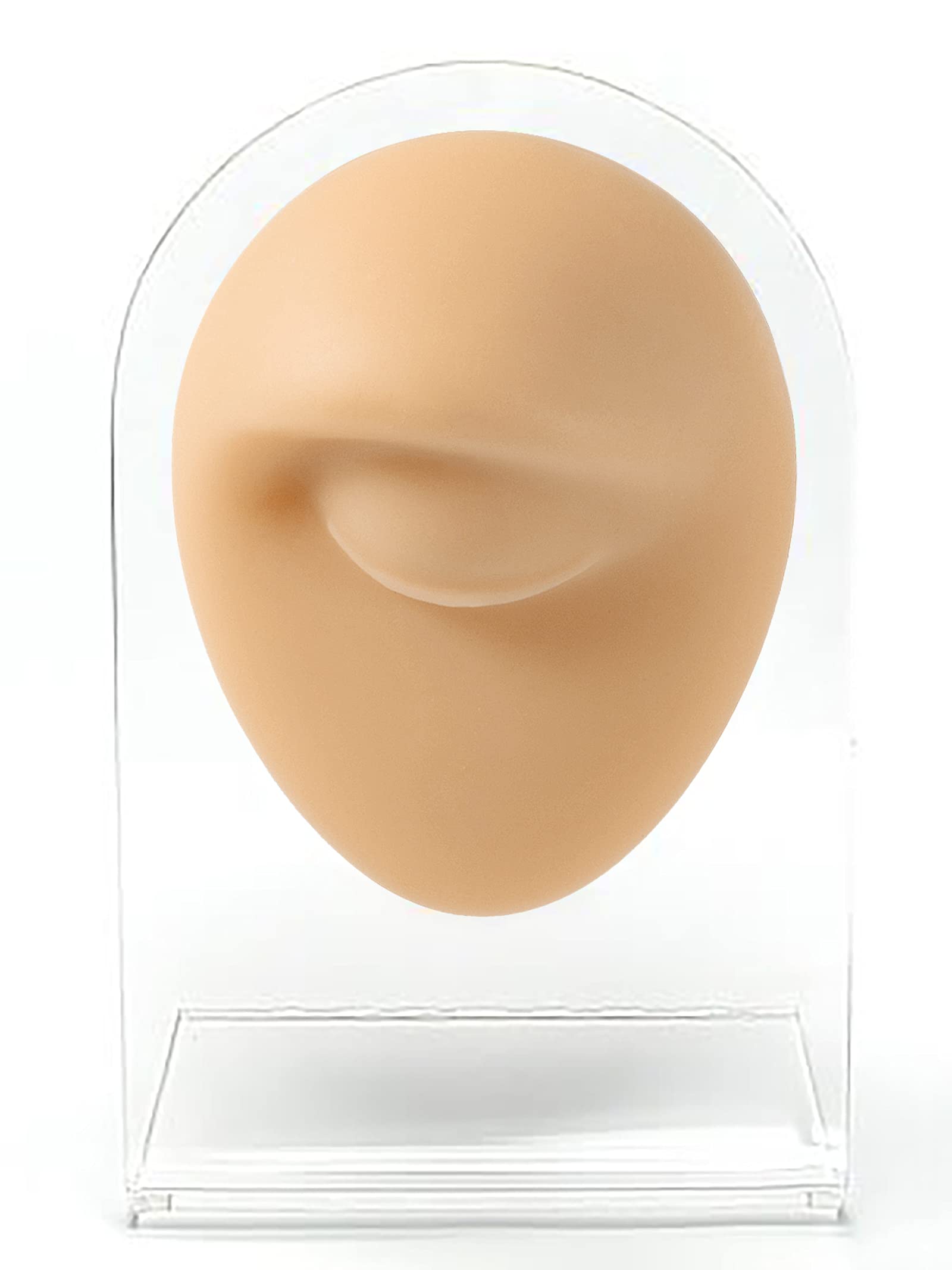 CHUANCI eye silicone model with soft, lifelike feel for education and display.