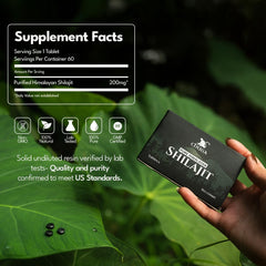 Chuga Shilajit Himalayan mountains emphasize high-altitude origin for quality.