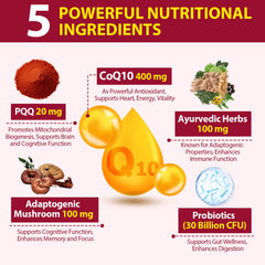 Ciaceae CoQ10 Gummies adaptogenic mushroom blend bottle emphasizes cognitive energy support
