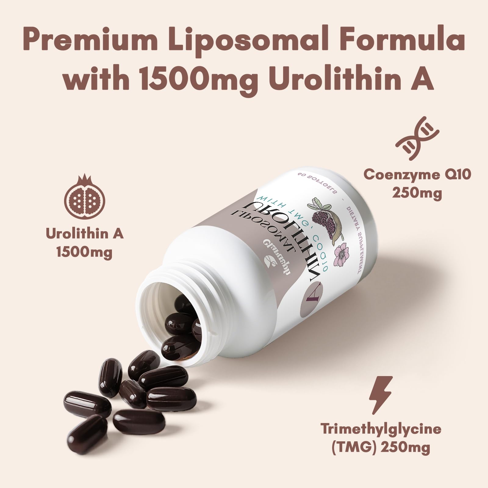 Clarusph Urolithin A lifestyle scene at desk or gym use