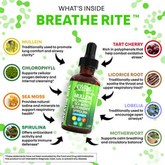 Clean Nutra Mullein Drops bottle emphasizes chlorophyll liquid component.