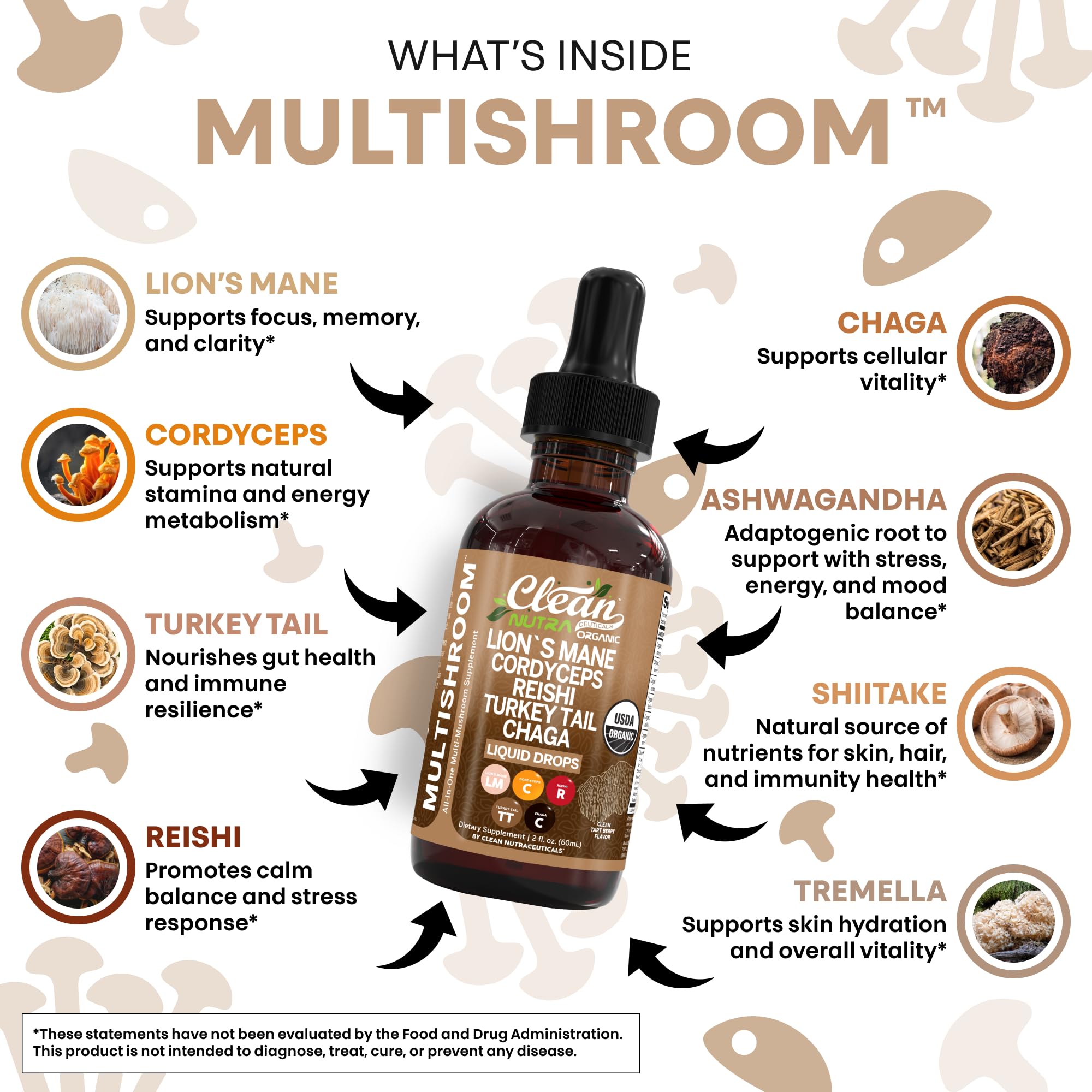 Clean Nutra Reishi Chaga drops promote balanced wellness with a soothing touch