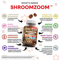 Clean Nutraceuticals reishi gummy with calming wellness focus