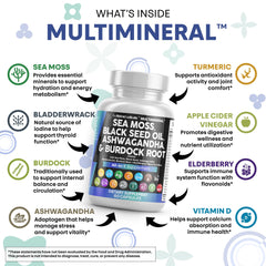 Clean Nutraceuticals ashwagandha root powder for balanced energy and calm focus.