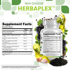 Clean Nutraceuticals Sambucus Elderberry capsules in bright berry formula.