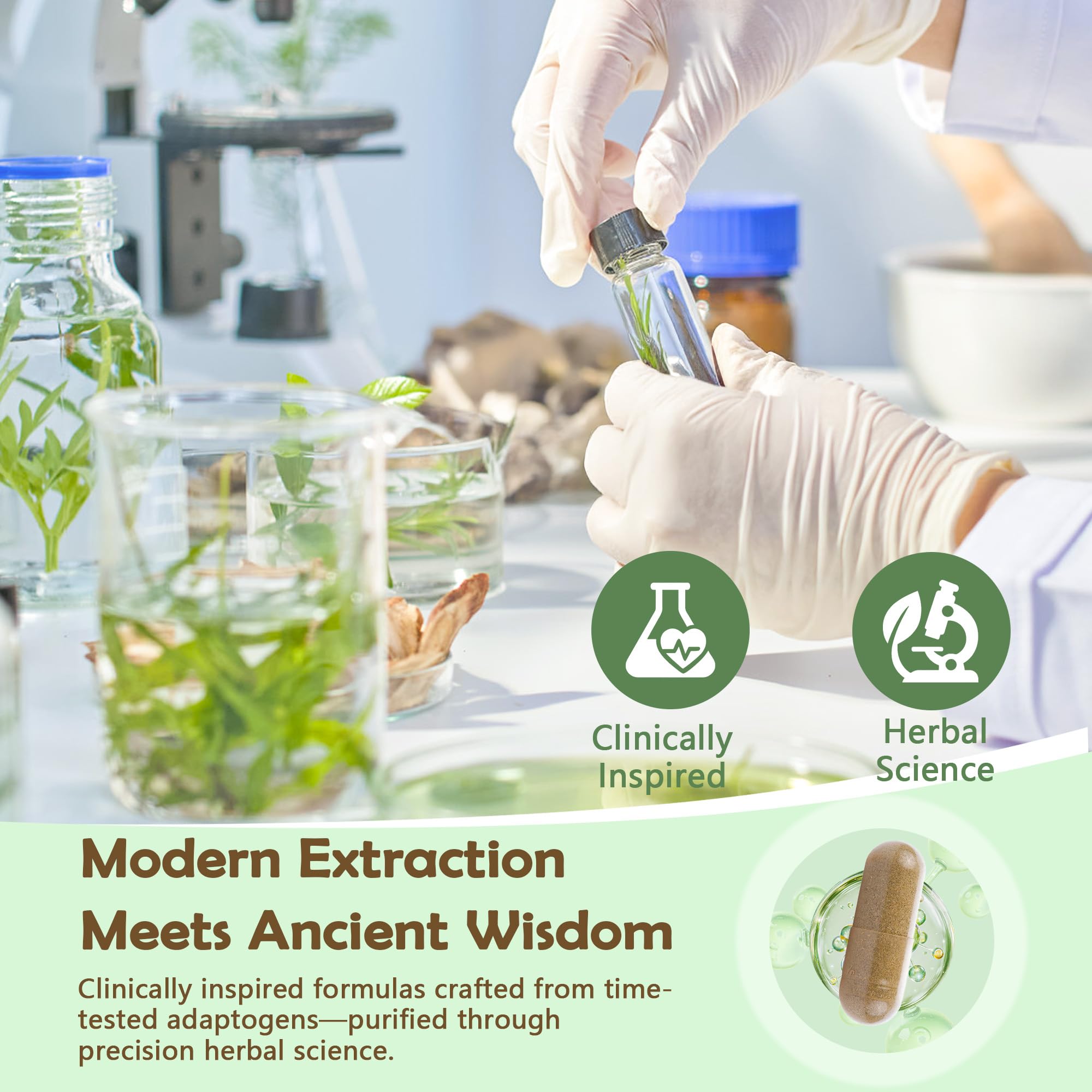 Clidelan Organic B-Complex Probiotics panel highlights gut vitality.