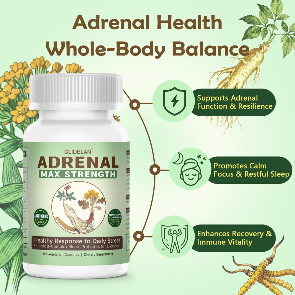 Clidelan Rhodiola capsule closeup emphasizes adaptogen synergy for stress support.