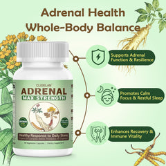 Clidelan Rhodiola capsule closeup emphasizes adaptogen synergy for stress support.