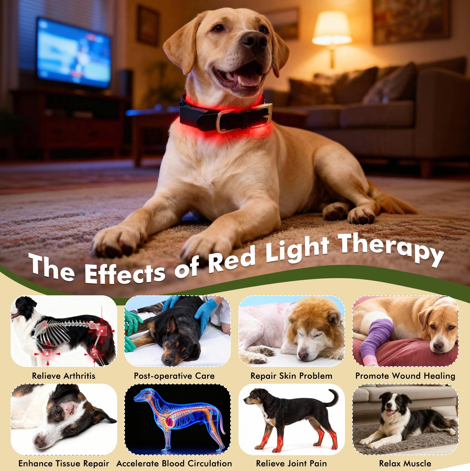 Clocness adjustable dog collar strap provides secure, comfortable fit for many sizes.