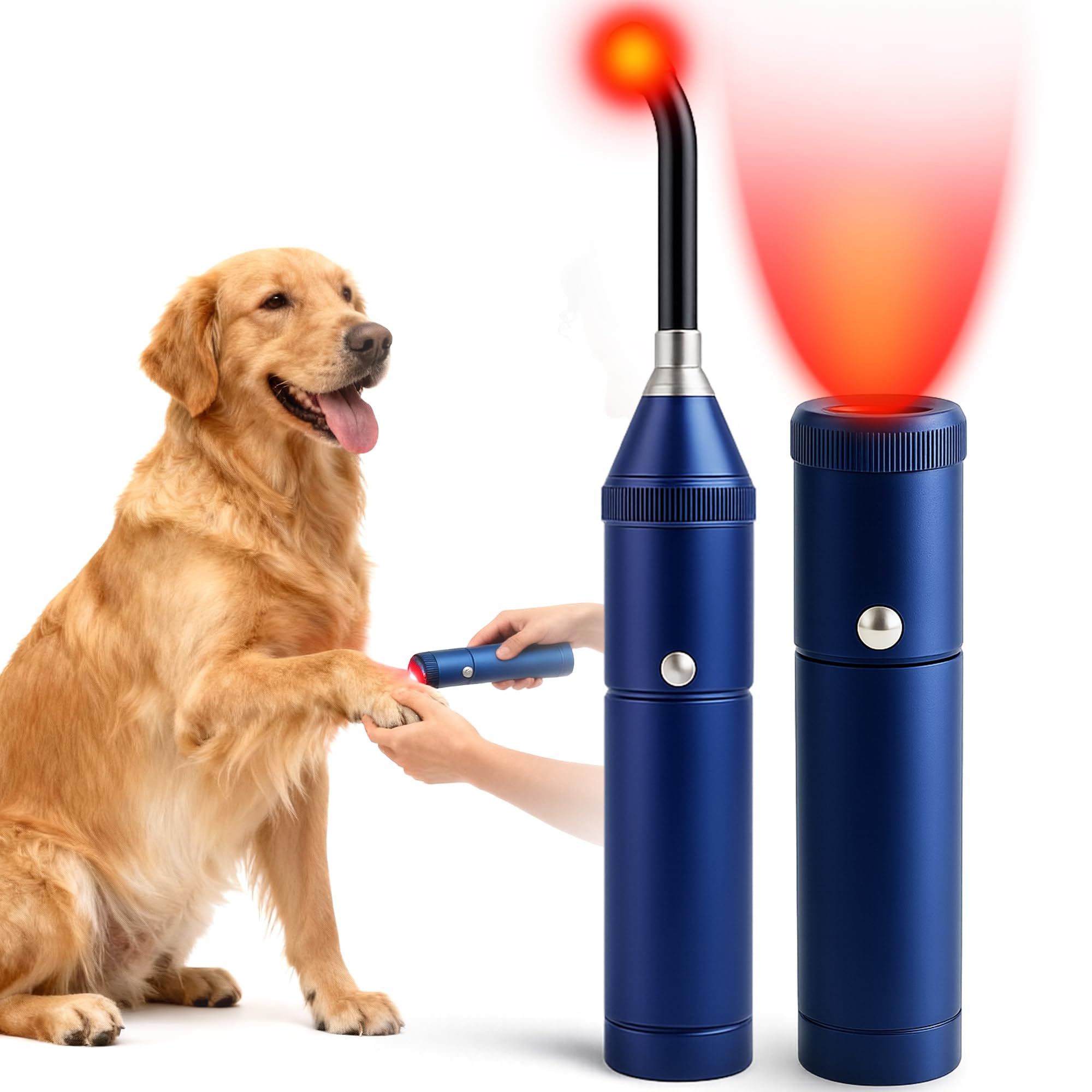 Clocness dog red-light therapy in action for comfort and mobility.