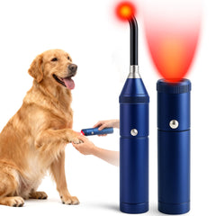 Clocness dog red-light therapy in action for comfort and mobility.