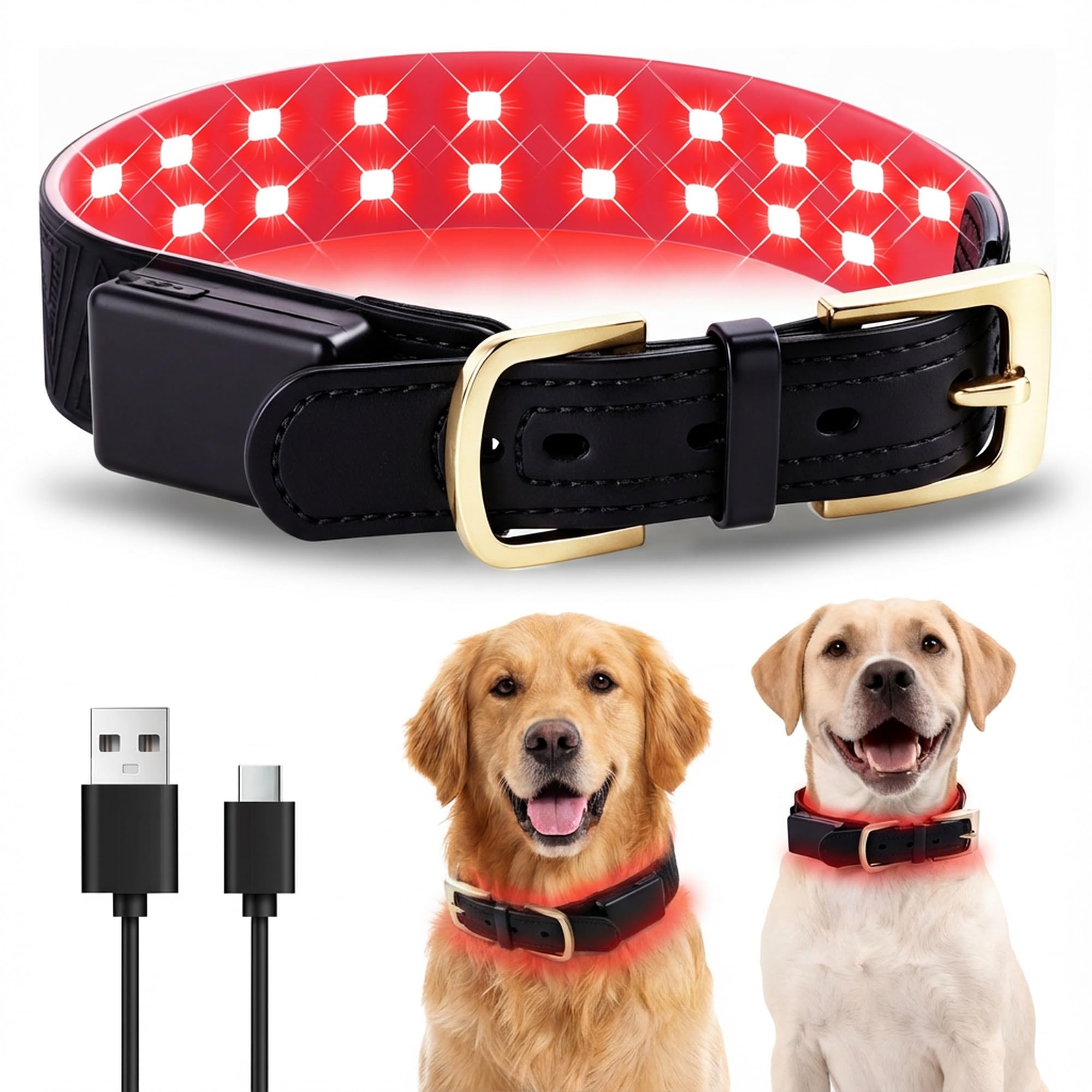 Clocness red light collar on dog's neck after a walk for calm relaxation.