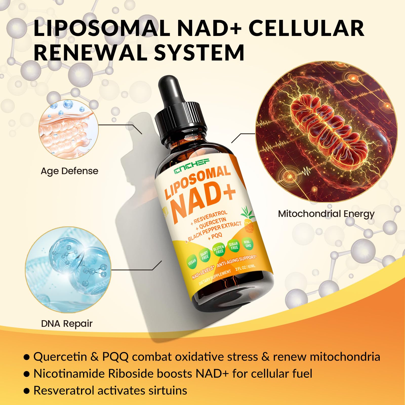 CNCHEF NAD drops ready for a daily wellness routine.