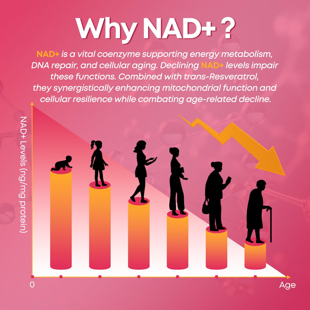 CNCHEF NAD+ Gummies with trans-resveratrol suggesting mitochondrial support.