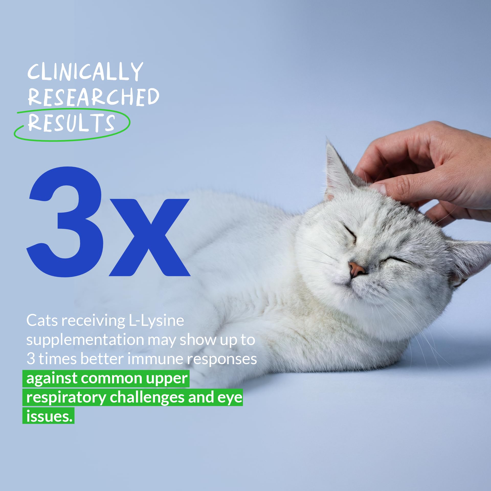 Coco and Luna lysine powder used to support cat eye health during daily care.