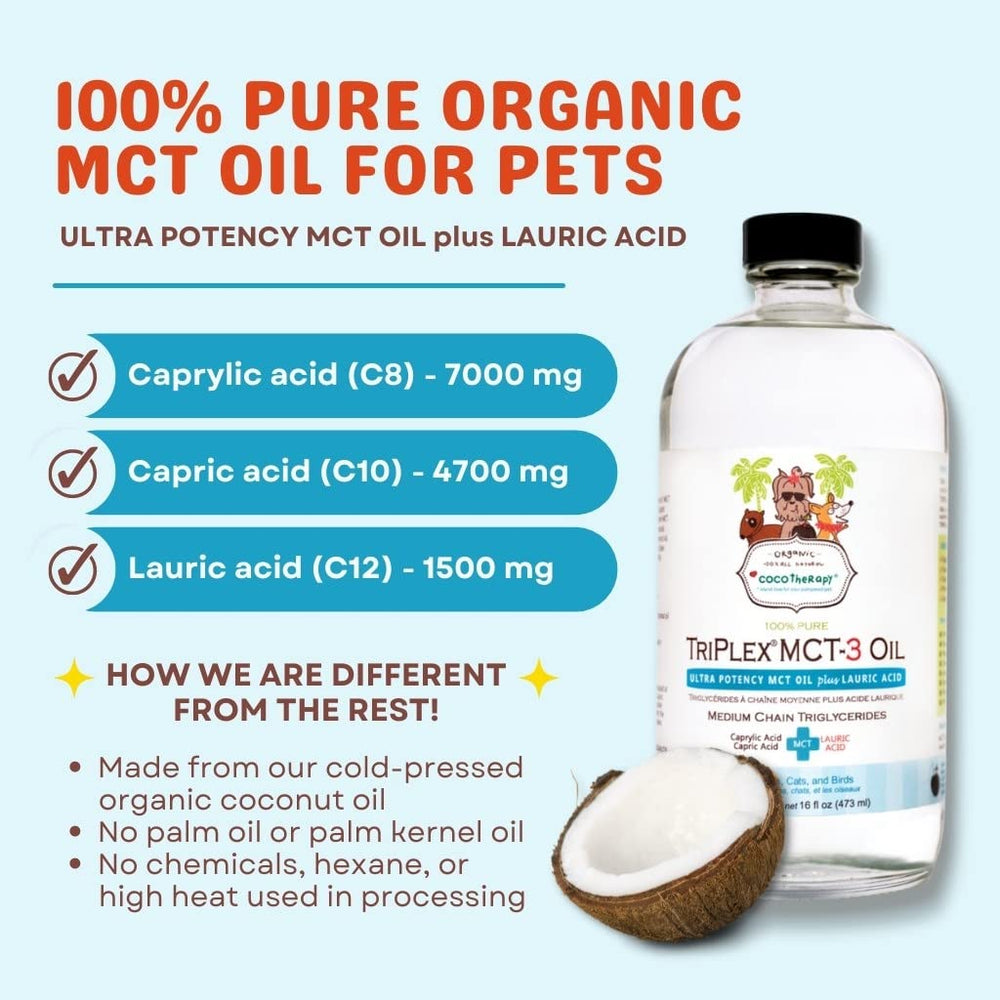 CocoTherapy Triplex MCT-3 Oil dog energy action in use.