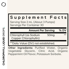 Codeage Chlorophyll Drops being poured into water for mint flavor.