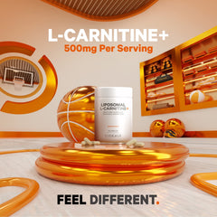 Codeage Liposomal L-Carnitine+ liposomal delivery visual, phospholipid complex.