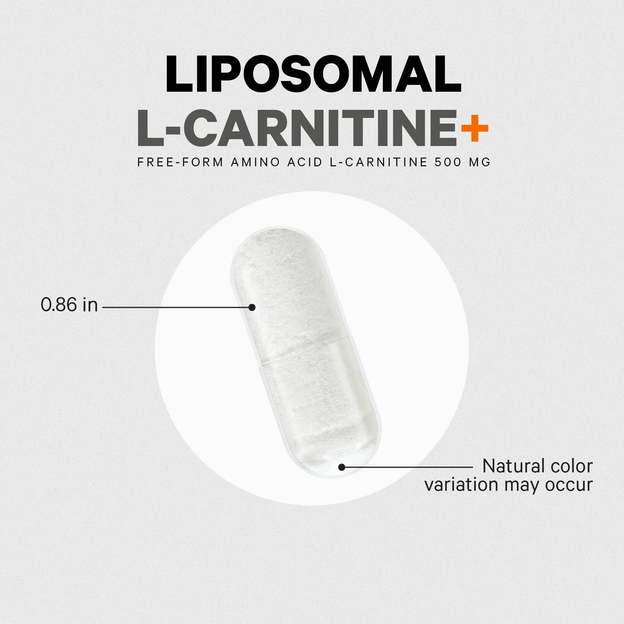 Codeage Liposomal L-Carnitine+ keto-friendly supplement container.