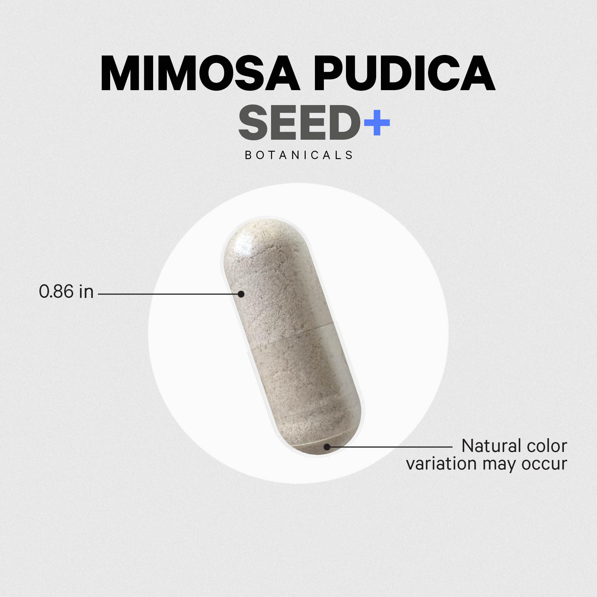 Codeage Mimosa Pudica Seed Capsules convenient daily-use capsule