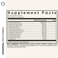 Codeage Multi Amino+ capsules close-up highlighting free-form amino acids.