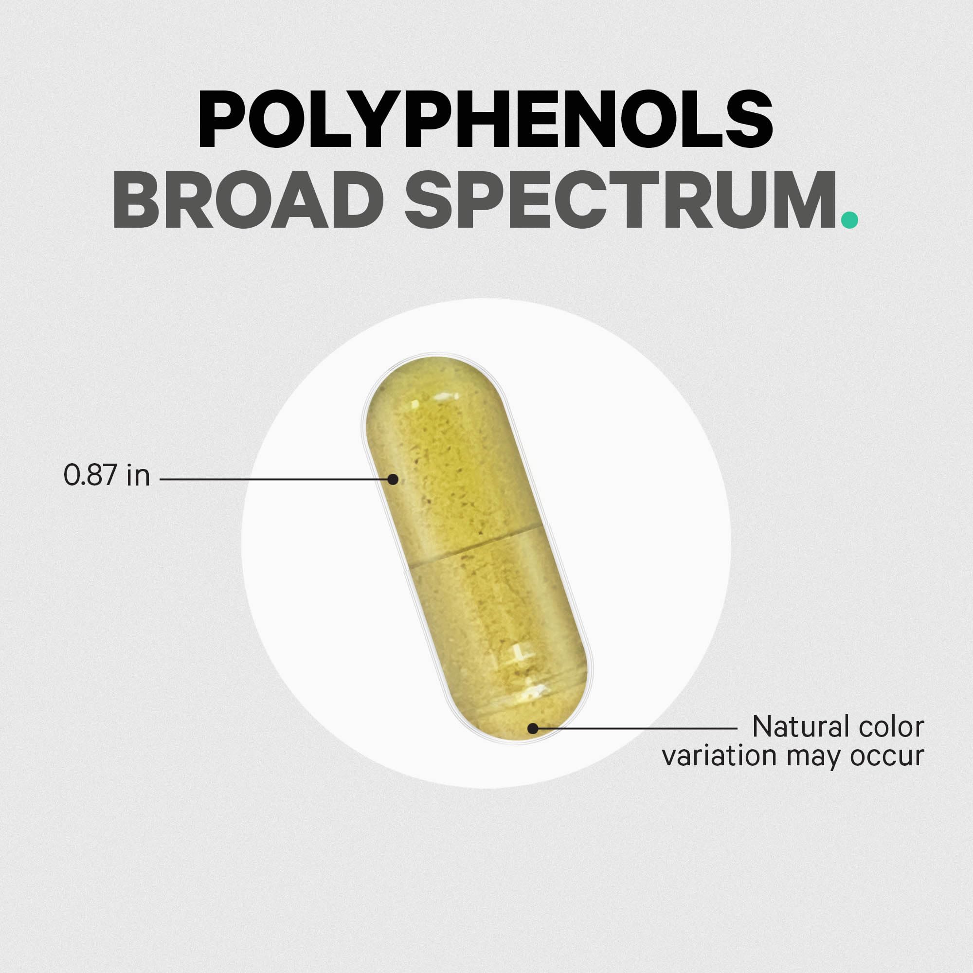 Codeage Polyphenols manufactured in the USA in a cGMP facility