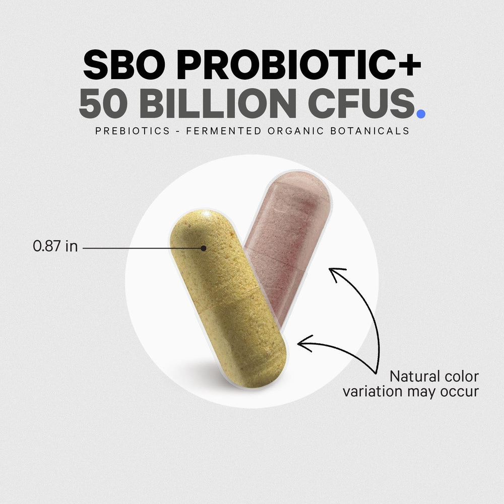 Codeage SBO Probiotic+ 45-day supply depicted by bottle and capsules