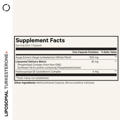 Codeage Turkesterone capsules resting in bottle, a convenient daily option for workouts.