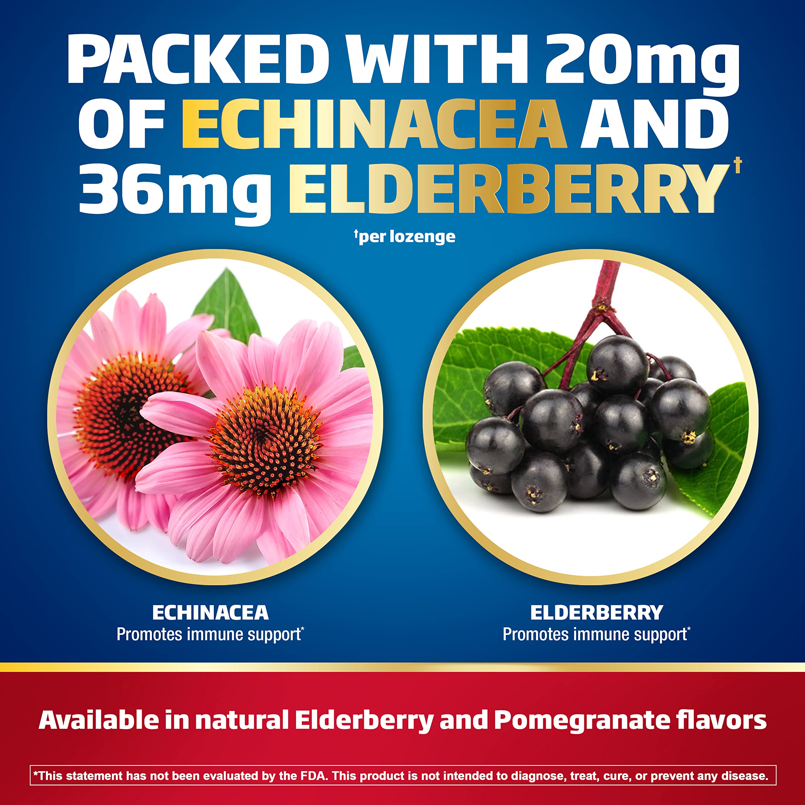 Cold-Eeze Defend-EEZE ingredients panel highlighting echinacea and elderberry.