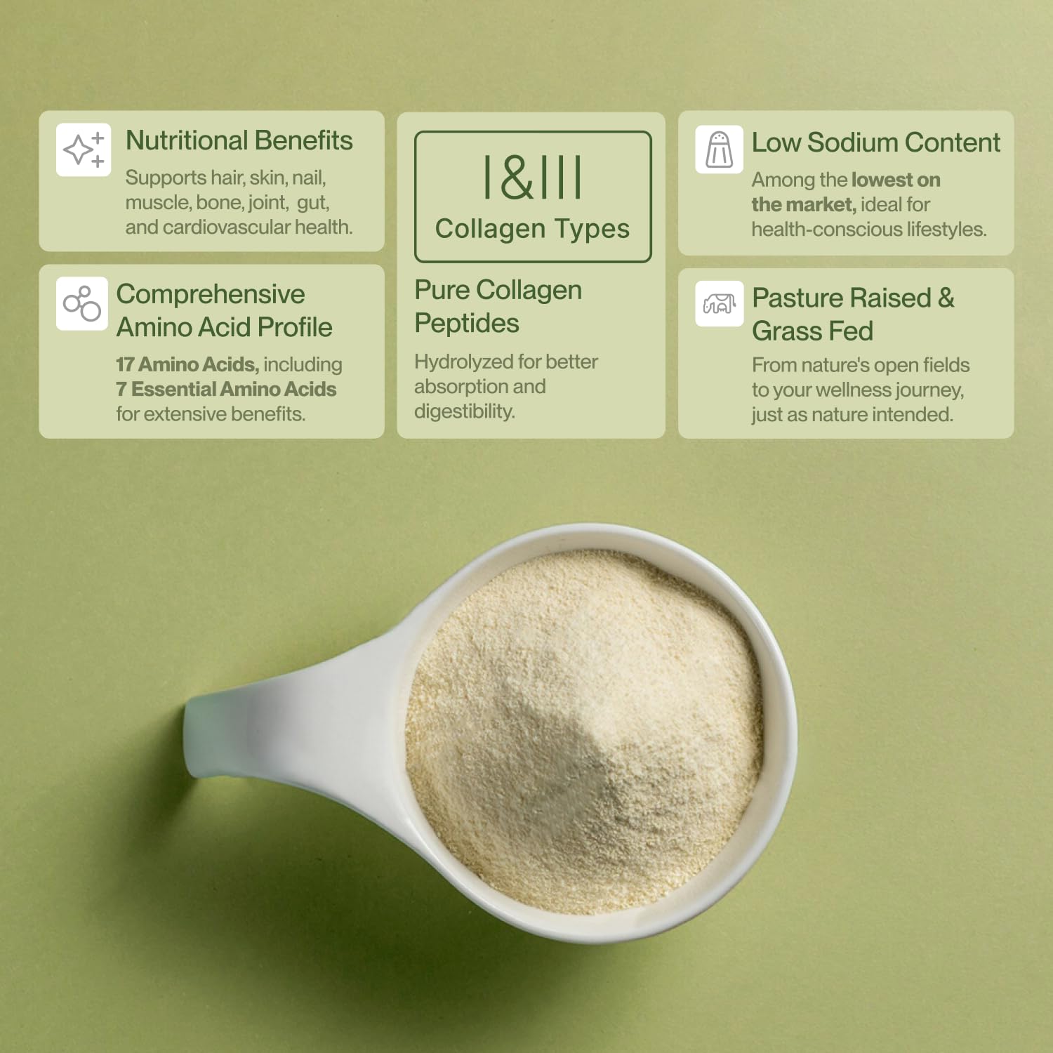 Colla Vita collagen powder scoop ready to blend into smoothies.